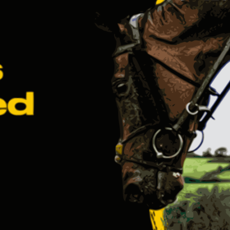 Bwin Horse Racing Betting: Markets & How to Bet